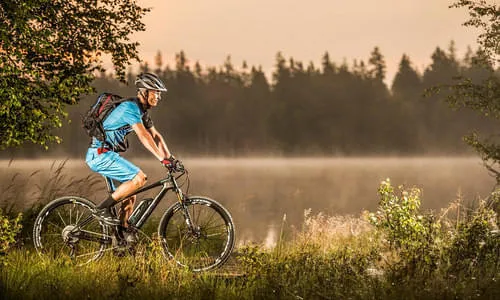 Subkategorie 1.2 Bild 2