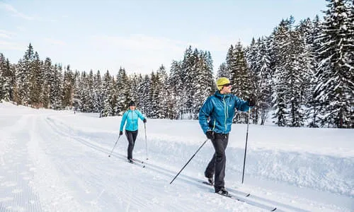 Subkategorie 1.3 Bild 13