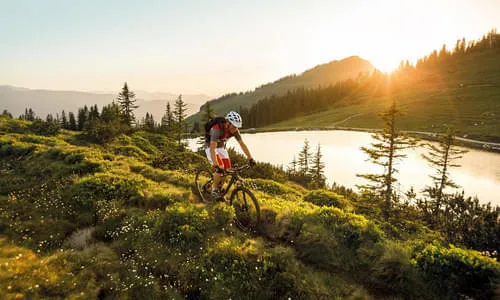 Subsubkategorie 1.12 Bild 4