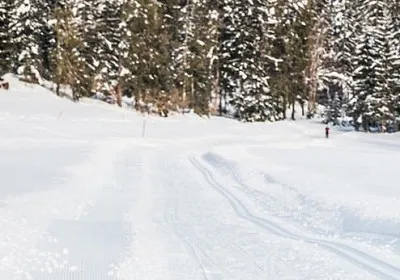 News-Entry-8 News-Entry-8